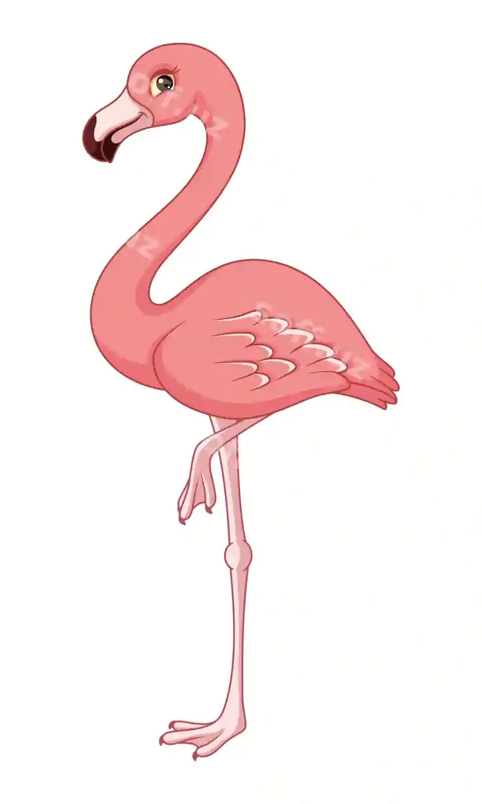 Qush pushti flamingo vektor kartun illustratsiyasi | Bird pink flamingo vector cartoon illustration