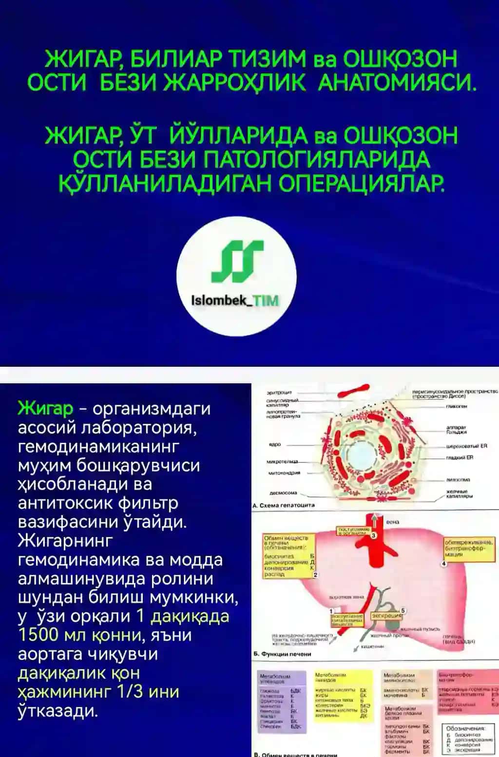 ЖИГАР, БИЛИАР ТИЗИМ ва ОШҚОЗОН  ОСТИ  БЕЗИ ЖАРРОҲЛИК  АНАТОМИЯСИ. ЖИГАР, ЎТ  ЙЎЛЛАРИДА ва ОШҚОЗОН ОСТИ БЕЗИ ПАТОЛОГИЯЛАРИДА ҚЎЛЛАНИЛАДИГАН ОПЕРАЦИЯЛАР