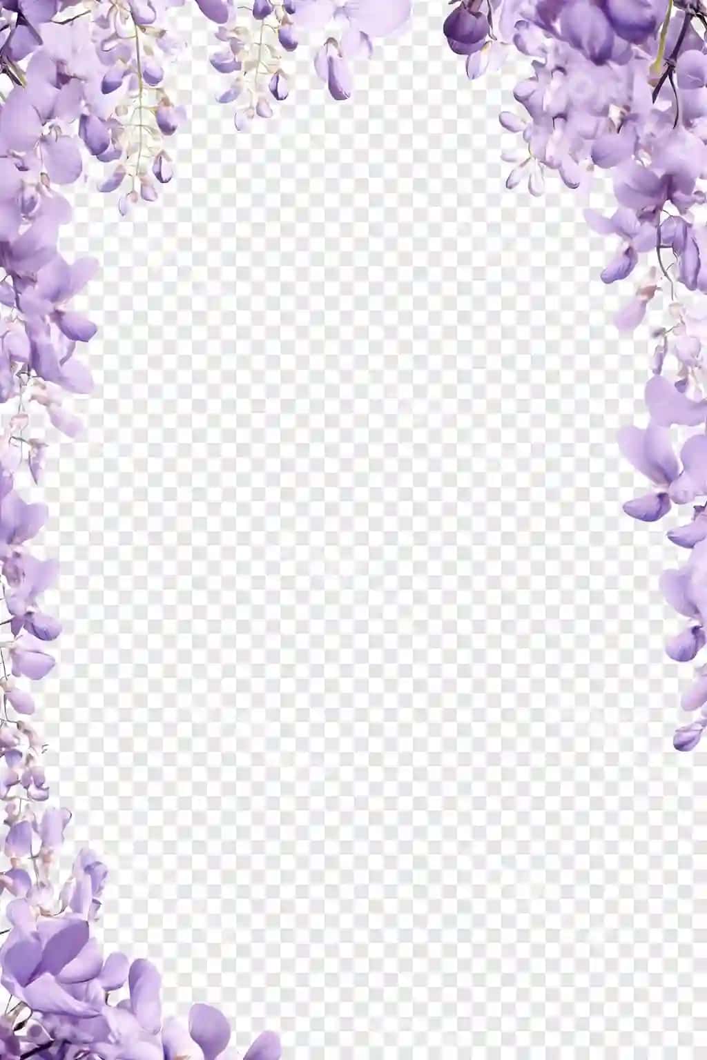 Binafsha gullar shaffof orqa fonda | Purple flowers transparent background