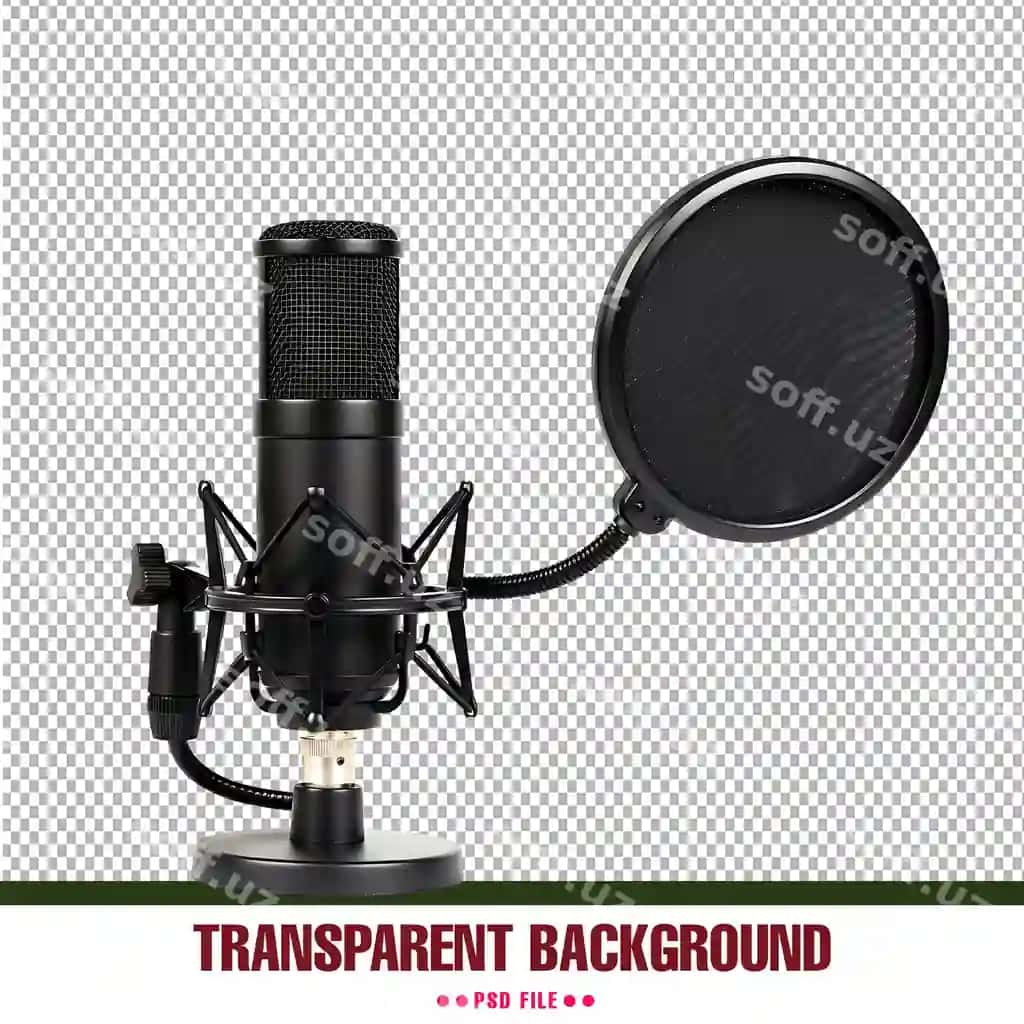 Studiyo kondensator mikrofon pop filtri shok qo'llanma bilan shaffof | Studio condenser microphone with pop filter shock mount transparent 2