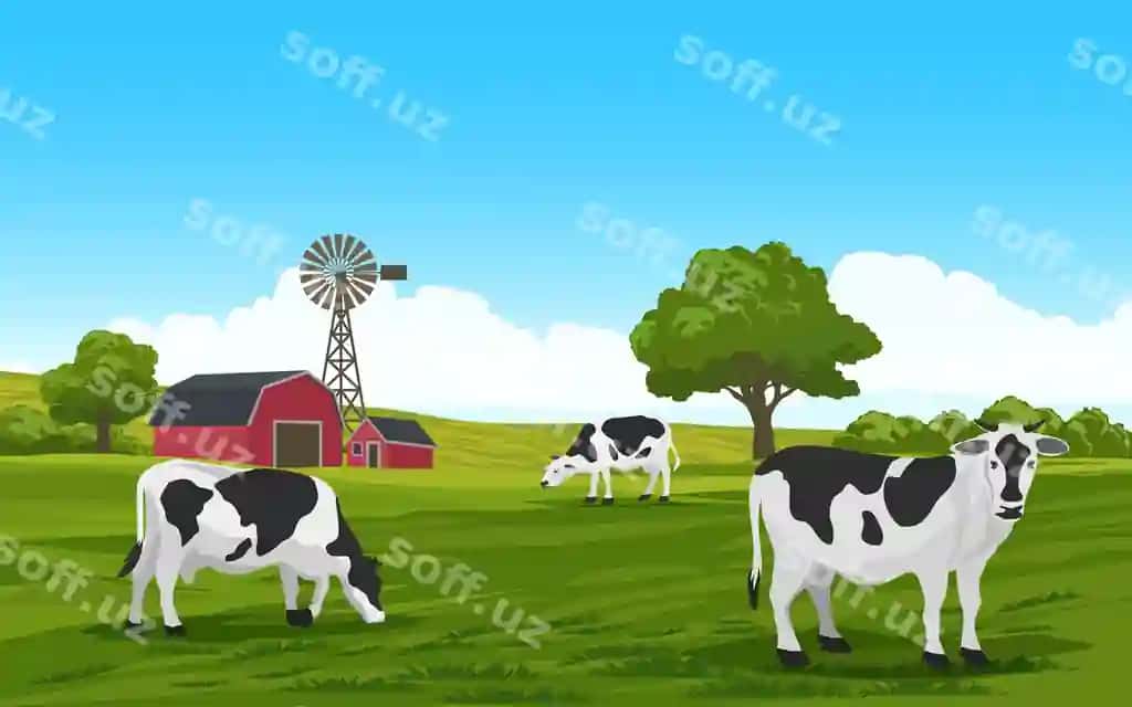 O't yiyotgan sigirlar yashil maydon qishloq uyi shamol milli bilan | Grazing cows green field with farmhouse windmill 2
