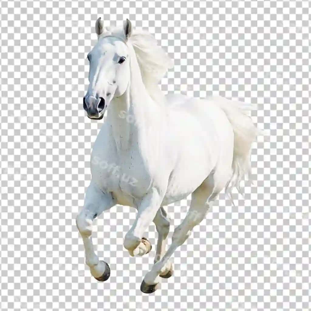 Jigarrang at multfil'm shaxsiyati | Brown horse cartoon character 2