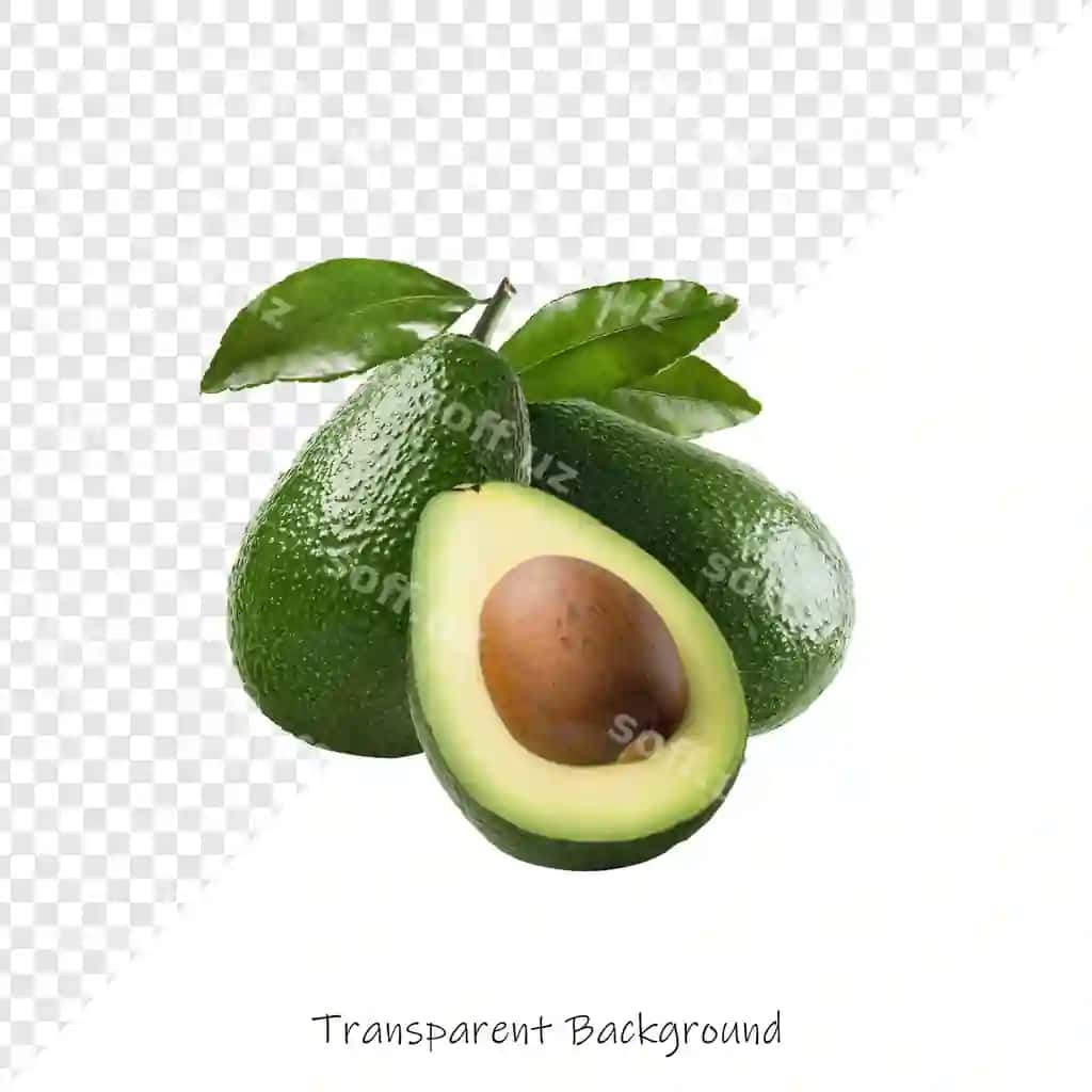 Avokadoni oʻylivchi soʻzlar bilan tasvirlang | Picture avocado with words contemplative it 2