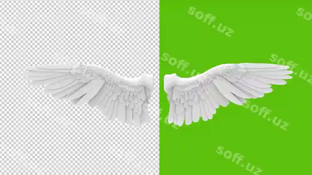 Bepul PSD oq sayralar shaffof fonda | Free psd white wings with transparent background