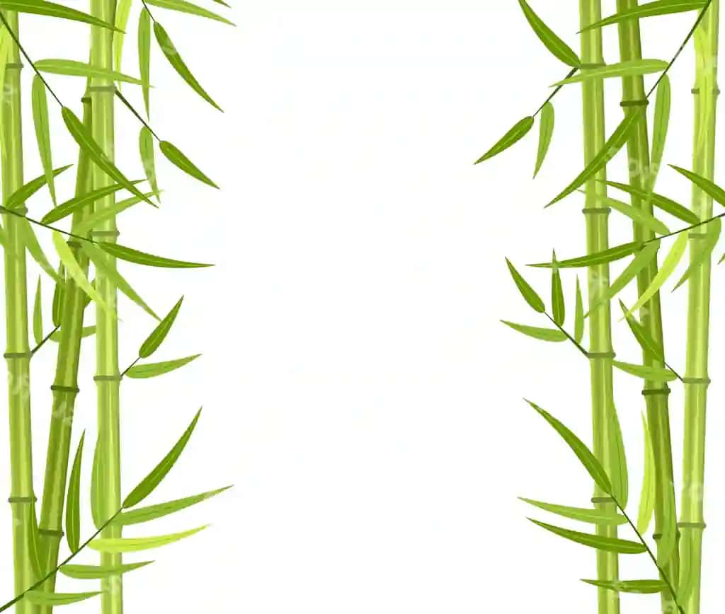 Vektorli yashil bambuk poyalari | Vector green bamboo stems