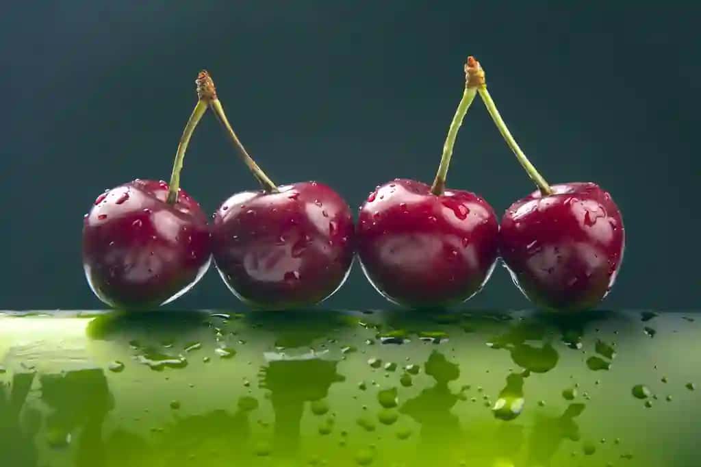 Suv tomchilari yashil shisha bilan yangi gilos rezavorlari | Fresh cherry berry with water droplets green bottle