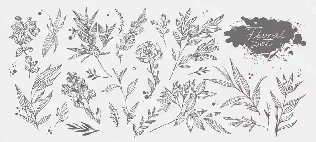 Katta to'plam qo'l yozma vektor gulli elementlar taklifnoma kataloglar | Big set hand drawing vector floral elements invitations catalogs 2
