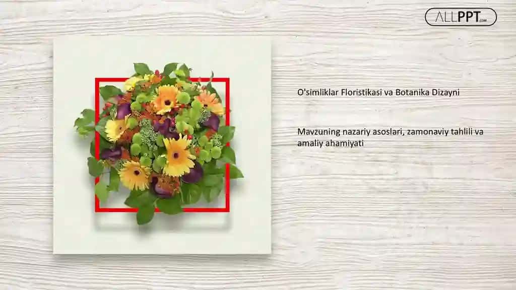 O'simliklar Floristikasi va Botanika Dizayni Taqdimoti (49 Slayd)