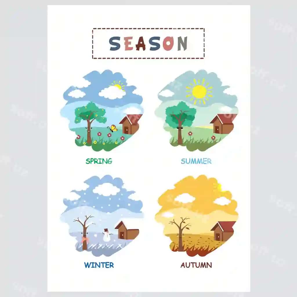 Ta'limli bolalar uchun fasl mavzusini o'z ichiga olgan cho'rva havo va fasllik haqida o'rgatadi | Educational poster kids featuring seasons theme teach weather seasonal