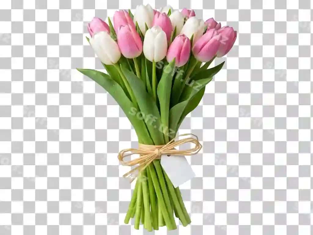 Buket pink va oq lola bo'sh teg bilan | Bouquet pink white tulips with blank tag 2