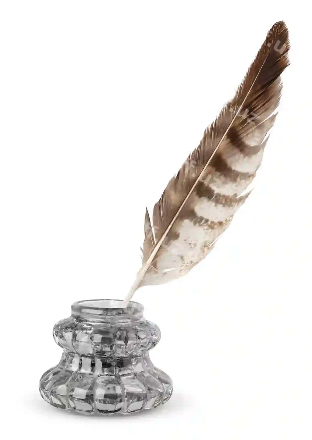 Eski qalamdaftari yakka oq qalam | Old inkstand quill isolated white