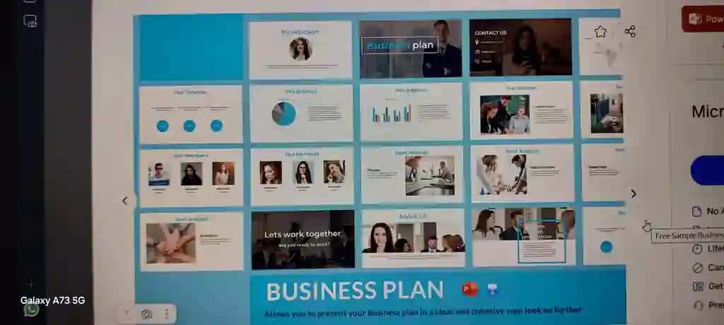 Bizness plan