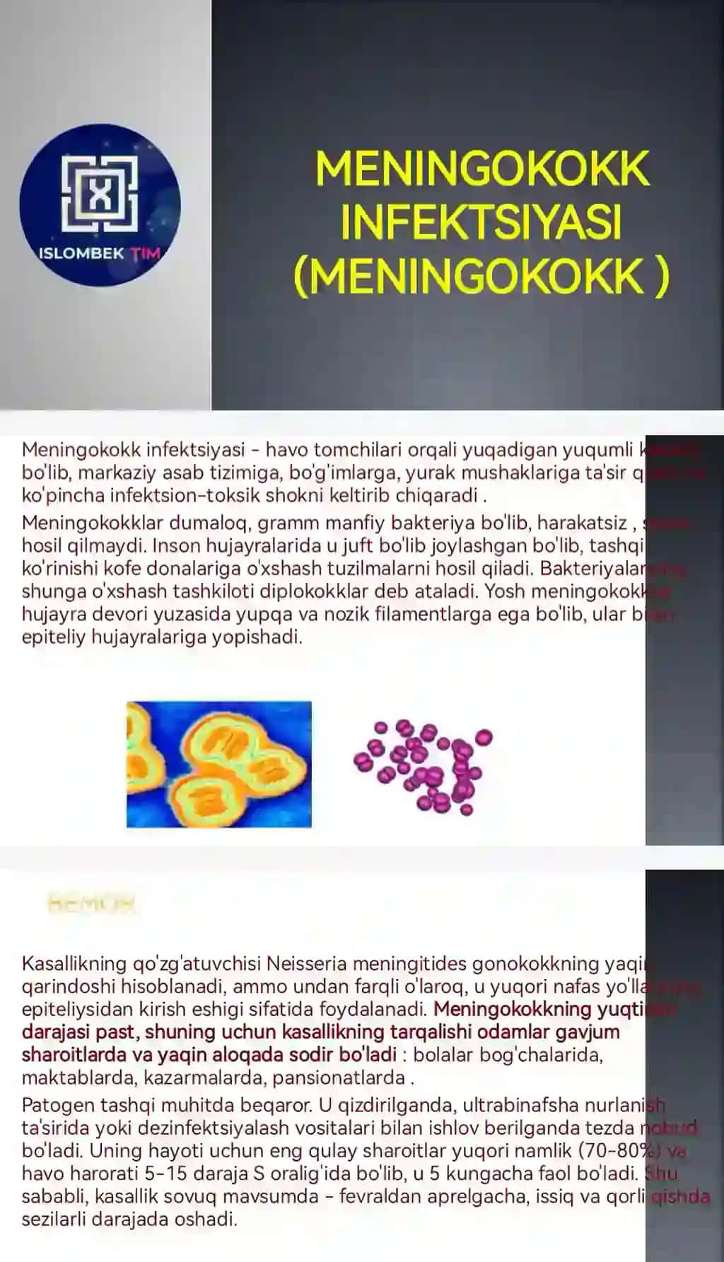 Meningokokk infektsiyasi (meningokokk )