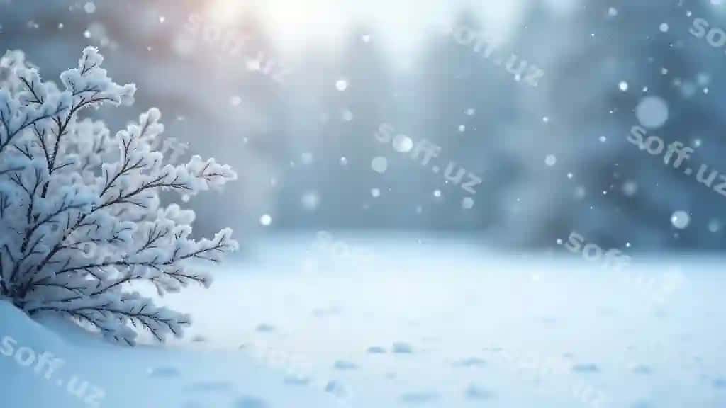 Qish qorli manzara soyuq qoplangan tinctarlar bilan | Snowy winter scene with frostcovered branches 2