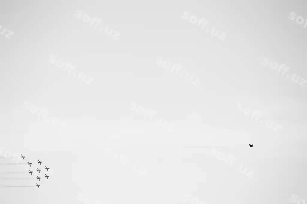 Pastdagi burchakdan qushlar va samolyotlar anqaranggi osmon orqali uchish. | Low angle view birds planes flying against clear sky 2