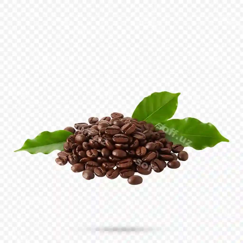 Qovurilgan kofe bobsiz yangi yashil varaq bilan | Roasted coffee beans with fresh green leaves 2