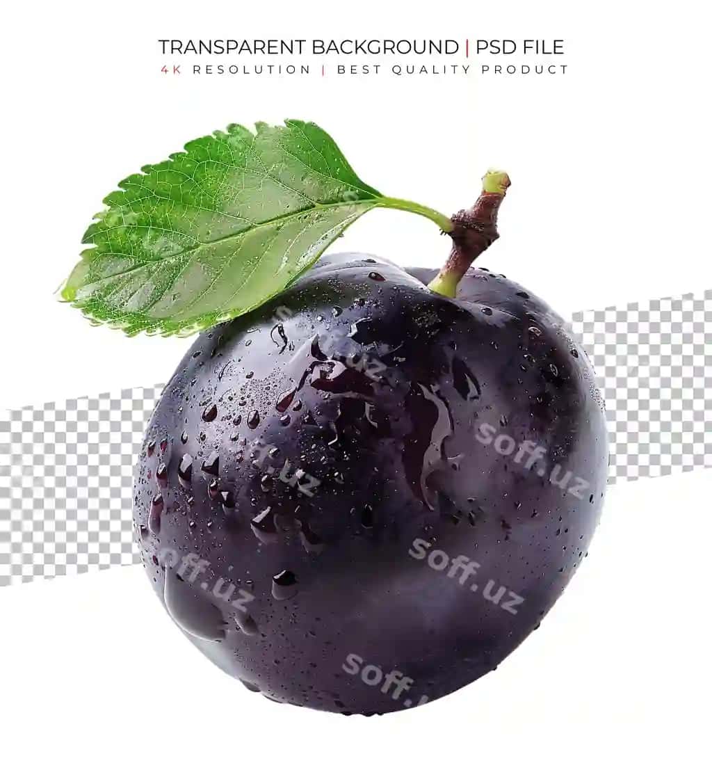 Olchalar ajraltirilgan oq fond | Plums isolated white background