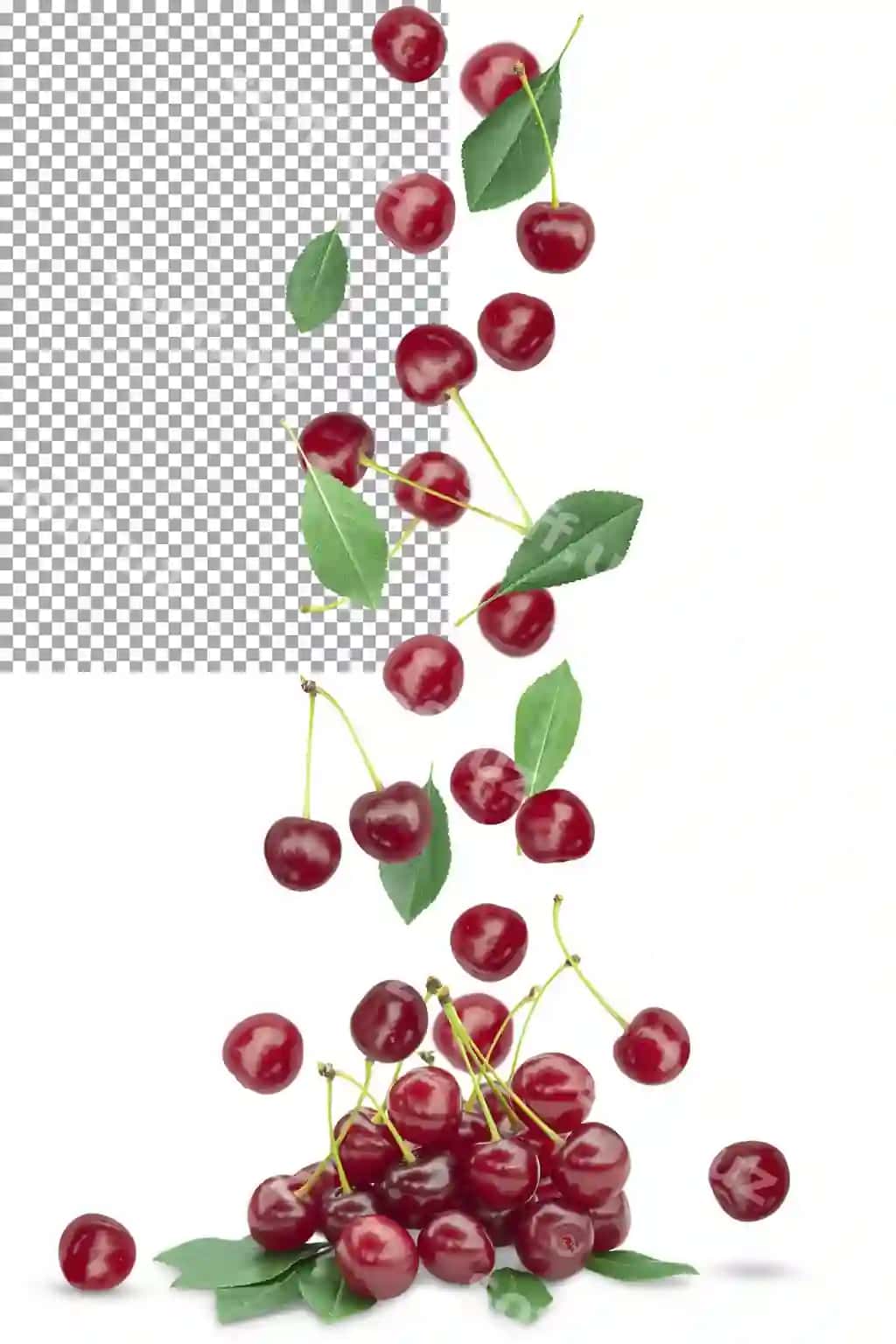 Kuzdagi o'lg'a chereshiya guruh yaproqlar shaffof fonda | Fall bunch ripe cherries with foliage transparent background