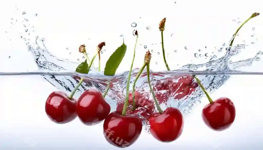 Gilas chaqa suvi so'z gilas pastki | Cherries are bowl water with word cherry bottom 2