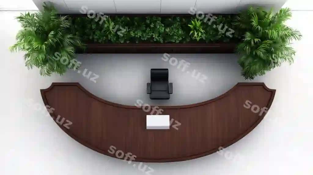 Zamonaviy qabul stoli o'simliklar bilan qora stul | Modern reception desk with plants black chair