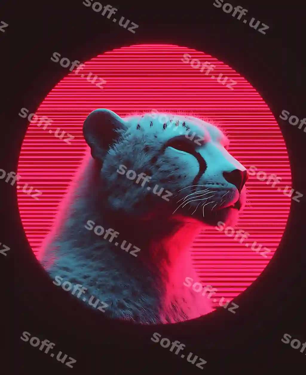 Arafed rasm gepard qizil doira | Arafed image cheetah red circle 2