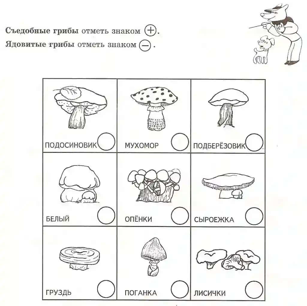 1- 4 sinflarga rangsiz belgilar