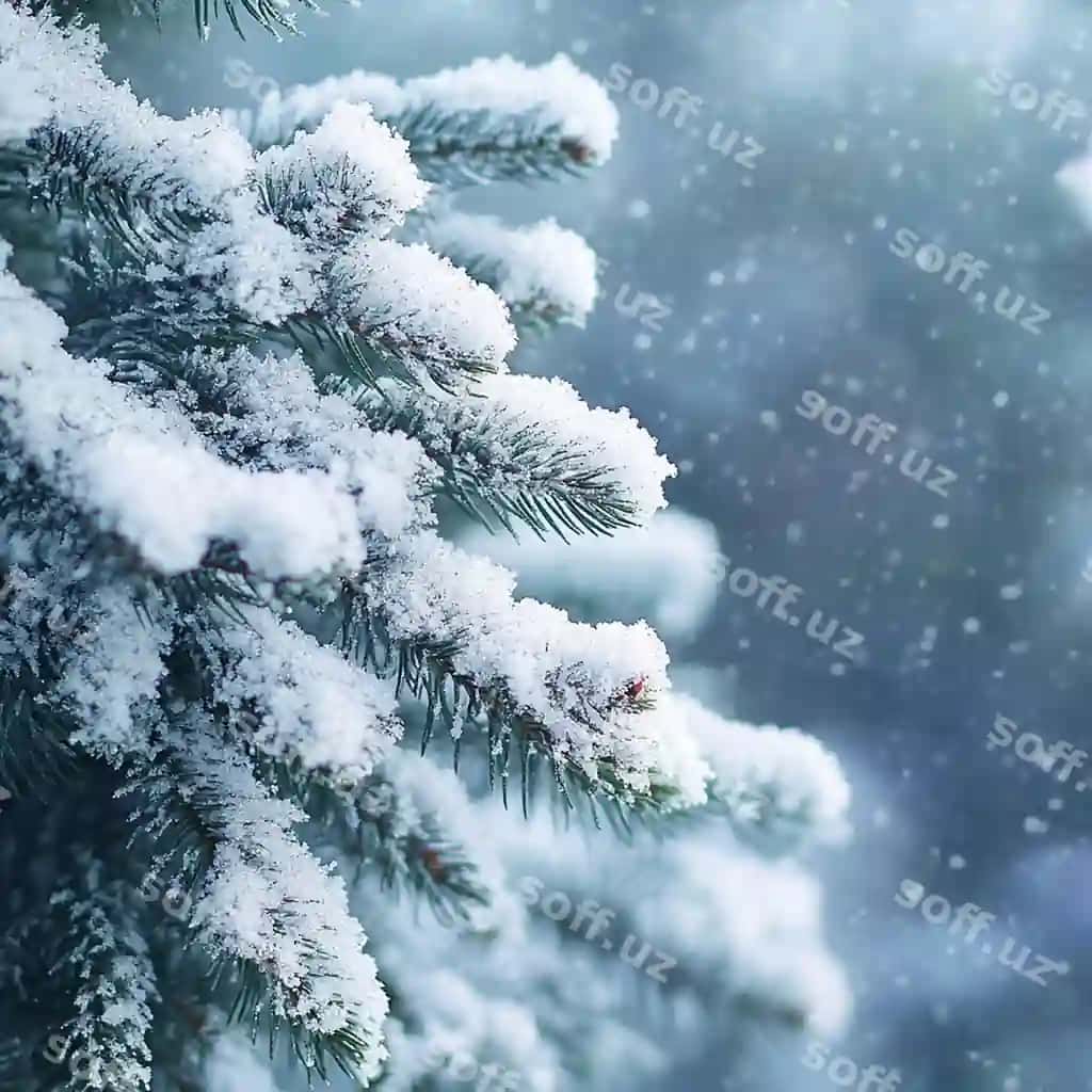 Yangi yil uyali qor yaxlit yaxshi sifatli fotosurati | Christmas tree snow closeup high quality image 2