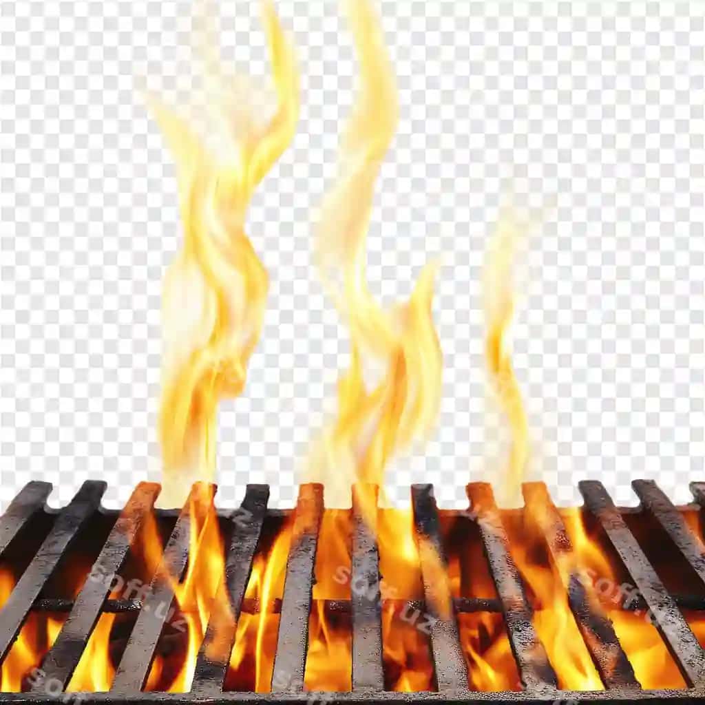 Issiq grill tayyor ovqat | Hot grill ready food