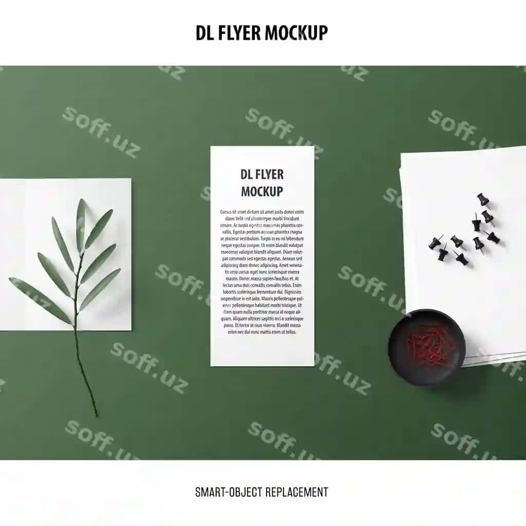 DL flyer namunasi | Dl flyer mockup