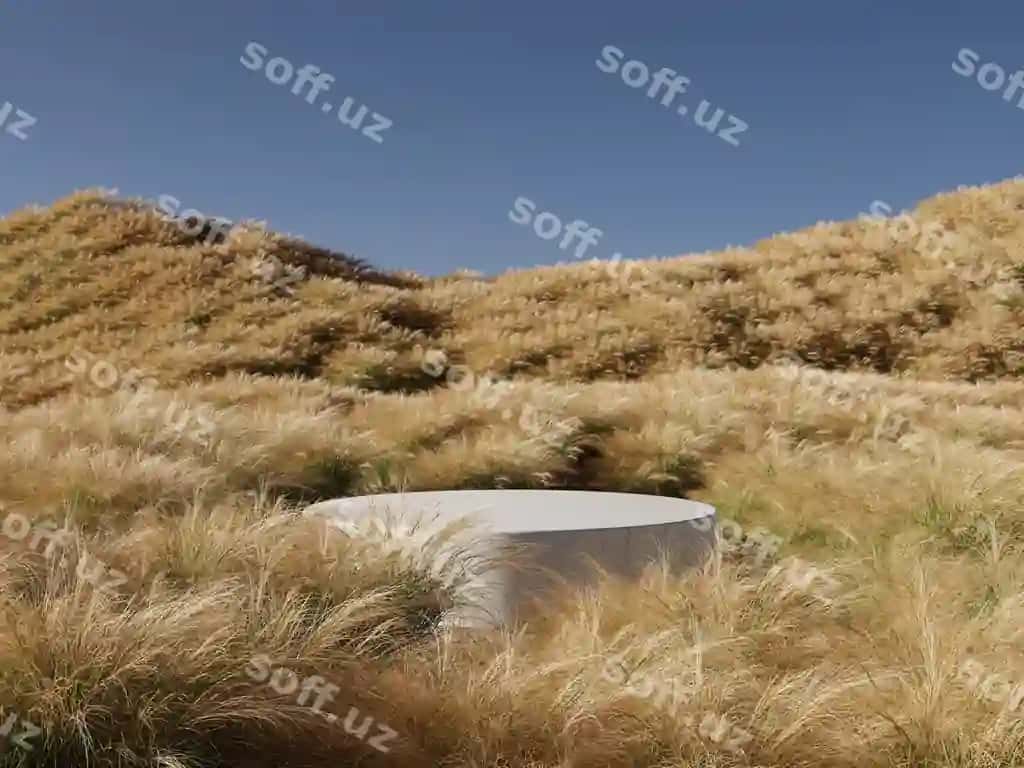 Marmar podium tabiiy sariq chaman maydon bog'i anqarli ko'k osmon bilan kosmetika mahsulot taklifi 3D render illustratsiyasi | Marble podium natural yellow grass field garden with clear blue sky cosmetic product presentation 3d rendering illustration