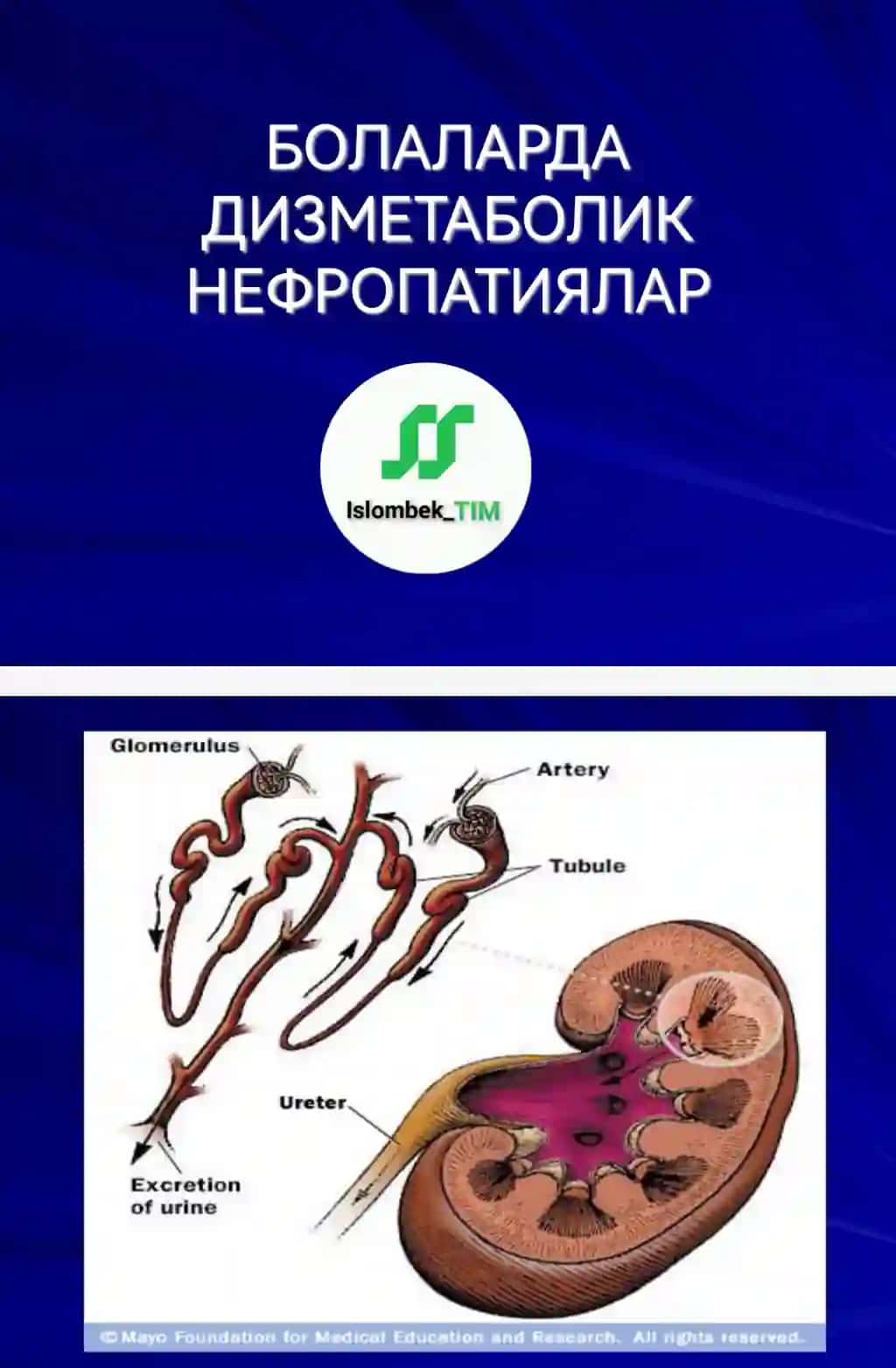 БОЛАЛАРДА ДИЗМЕТАБОЛИК НЕФРОПАТИЯЛАР