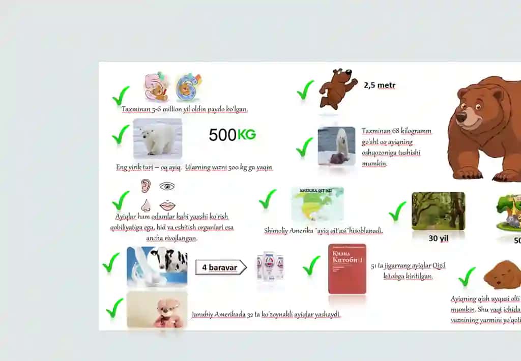 Ayiq haqida infografiya