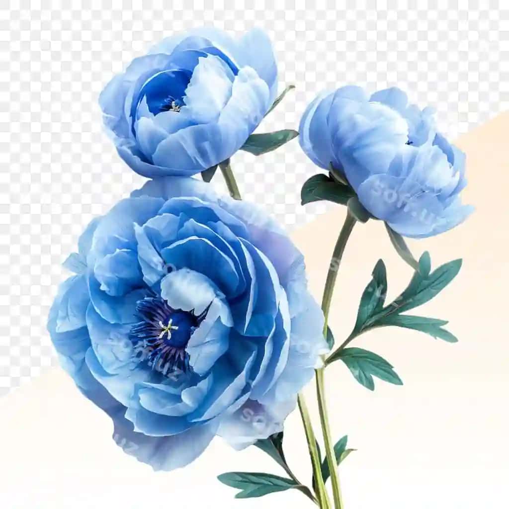 So'z 'ko'k'ni o'z ichiga olgan ko'k gullarni chizish | Drawing blue flowers with word blue it 2