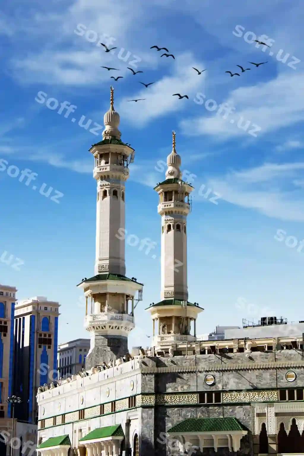 Katta binо atrofida ko'plab qushlar uchayotgan. | Large building with lot birds flying around it