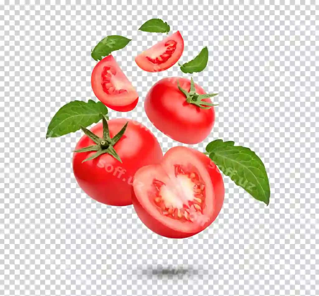 Yangi pomidorlar bilan barglar ajratilgan | Fresh tomatoes with leaves isolated