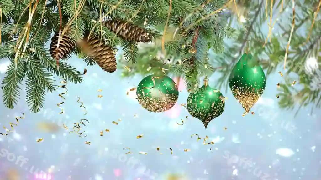 Bayramlik bayram yashil palmiz dara kon va rangli shar qish bezatmasi | Festive holiday green pine tree branch with cone colorful ball winter decoration