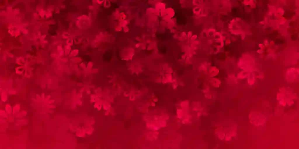 Fon gullari | Background flowers