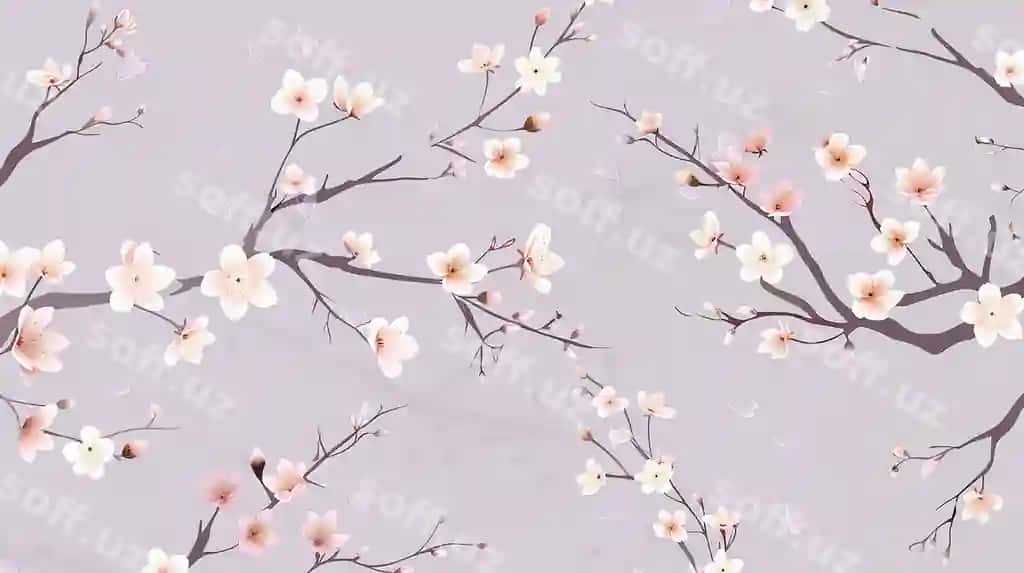Gilos mevasi foni | Cherry blossom background 2