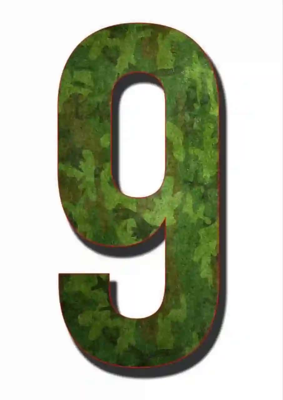 9-may xotira va qadirlash kuni yozuvi