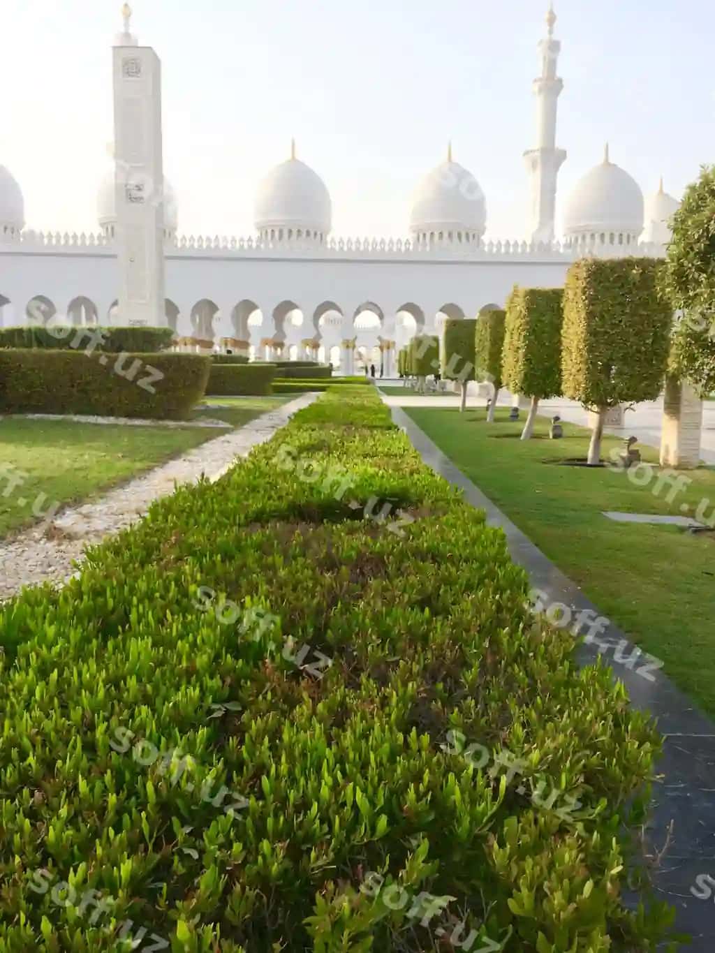 Sheikh Zayed Masjidi Bezatilgan Bog | Ornamental garden sheikh zayed mosque