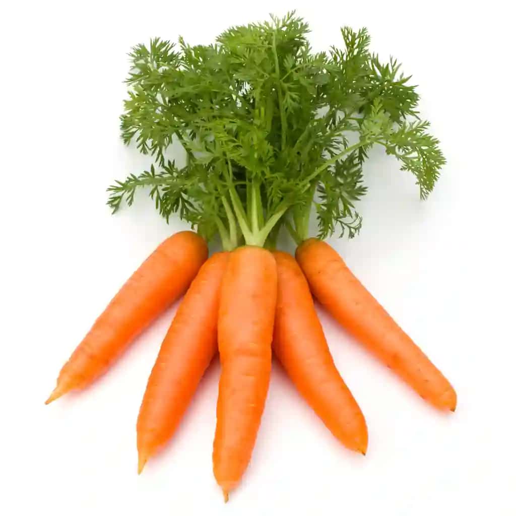 Oq fonda kesilgan barglari bilan sabzi sabzavot | Carrot vegetable with leaves isolated white background cutout