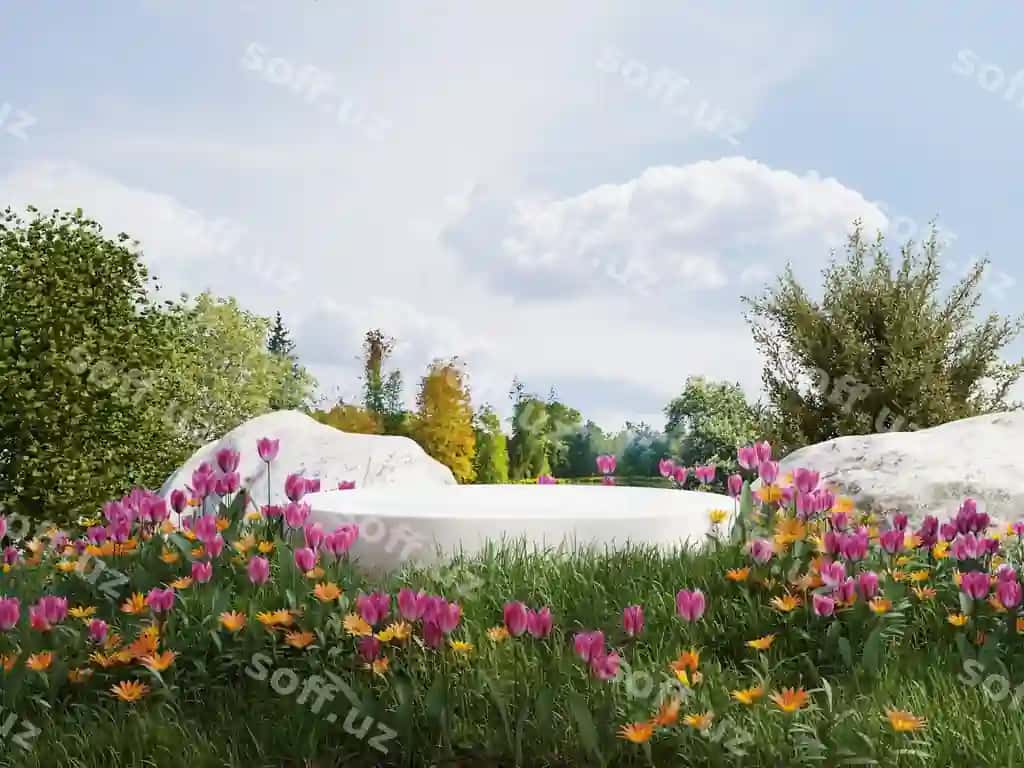Oq podium maydon gullari mahsulot taqdimoti osmon ko'rinishidir. | White podium field flowers product presentation is view sky 2