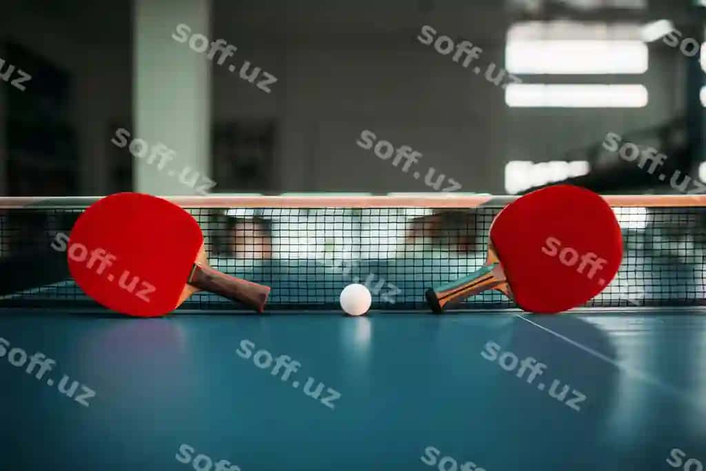Ikki tennis raketasi to'p tarmoq stolga qarshi. | Two tennis rackets ball against net table