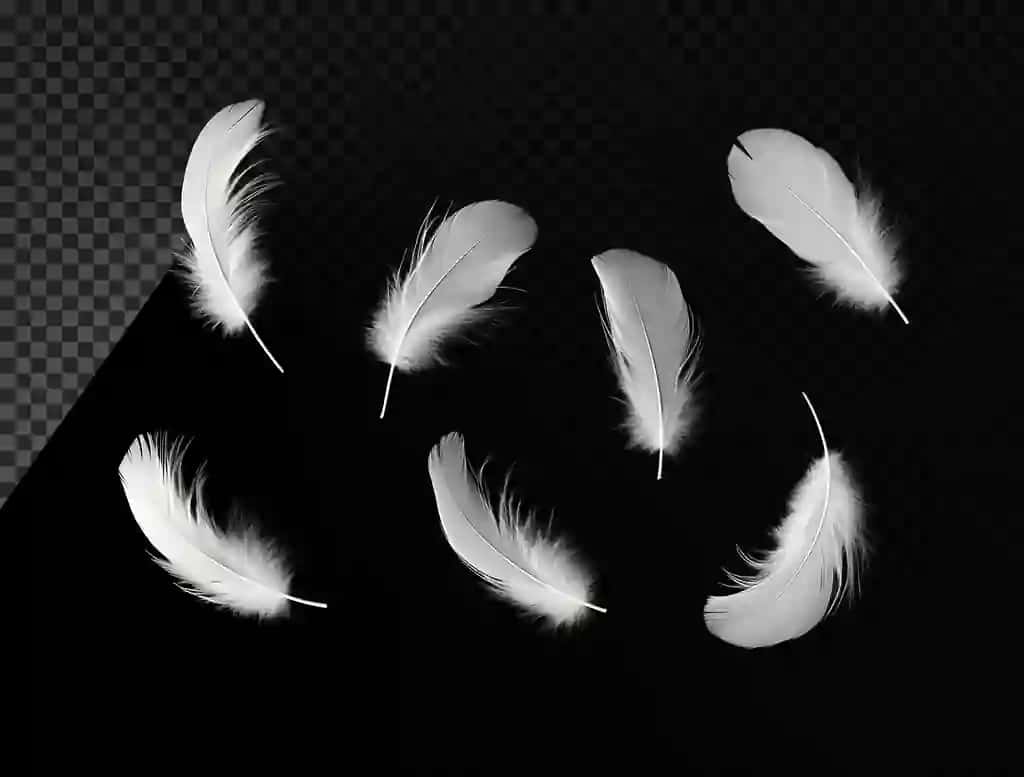 Bir nechta oq patlar suzib yurgan havo qora fon shaffof | Several white feathers floating air black background transparent