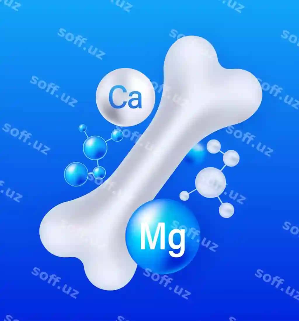 Sulqat sog'liqi kalsiy magniy molekulyar ahmiyat illustratsiya qilingan vektor | Bone health calcium magnesium molecular importance illustrated vector