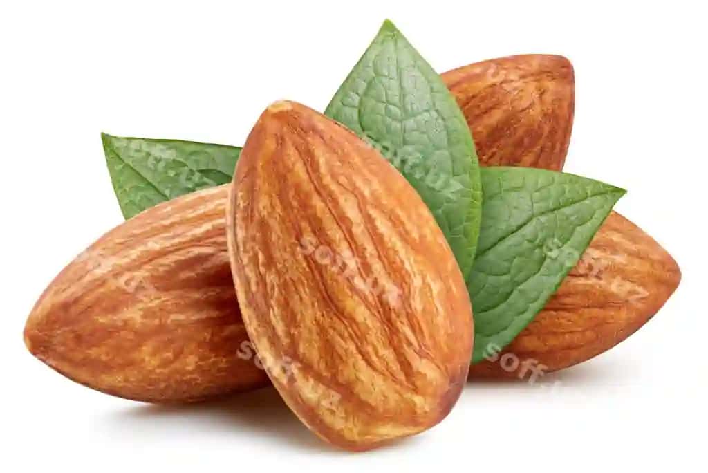 Badem ajraltirilgan kesish yo'li bilan | Almond nut isolated with clipping path