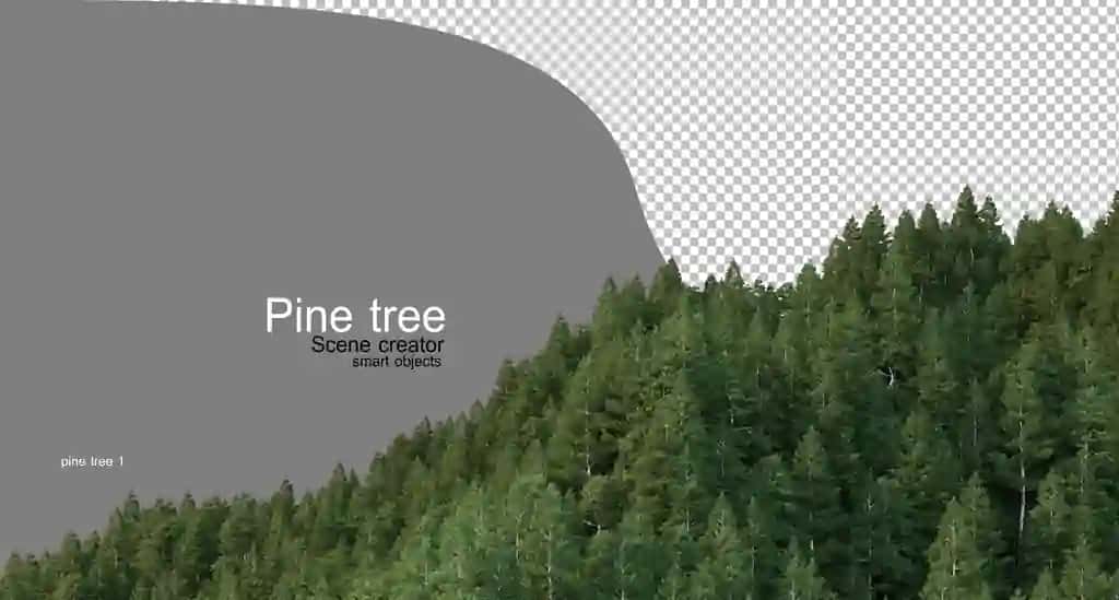 Har xil turdagi kattalar qarag'aylari bilan baland tog' | High mountain with pines various types adults