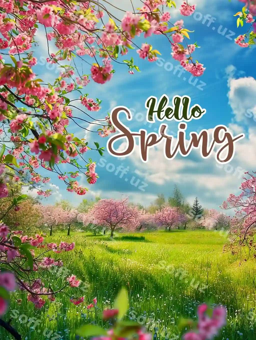Salom bahor postery shabloni ijtimoiy media posti salom bahor | Hallo spring poster template media social post hello spring 2