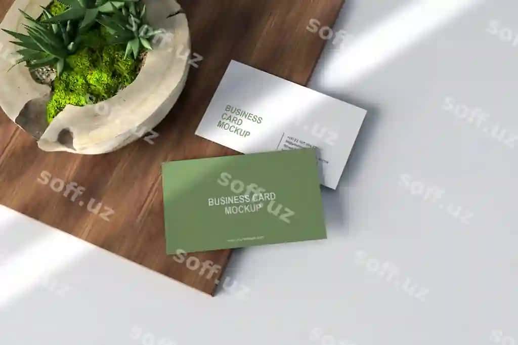 Toza minimal biznes karta namunasi yog'och paneli kaktus o'simlik | Clean minimal business card mockup wood panel cactus plant