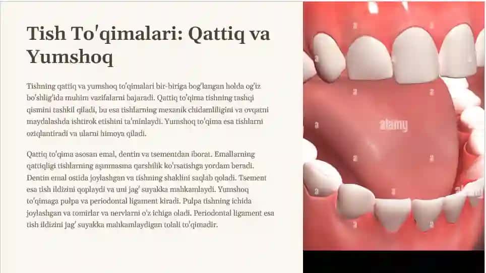 Tish Toqimalari Qattiq va Yumshoq